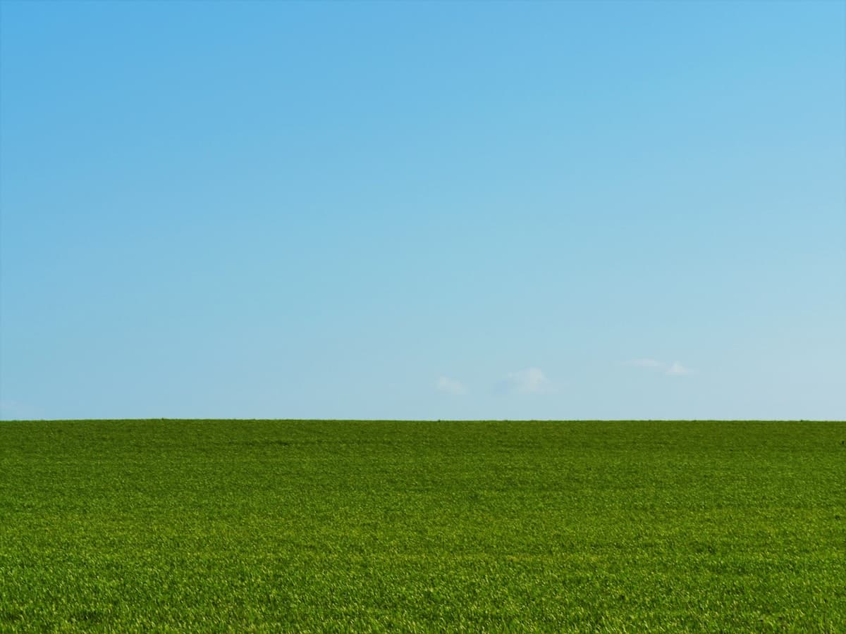 Flat green field under a clear blue sky